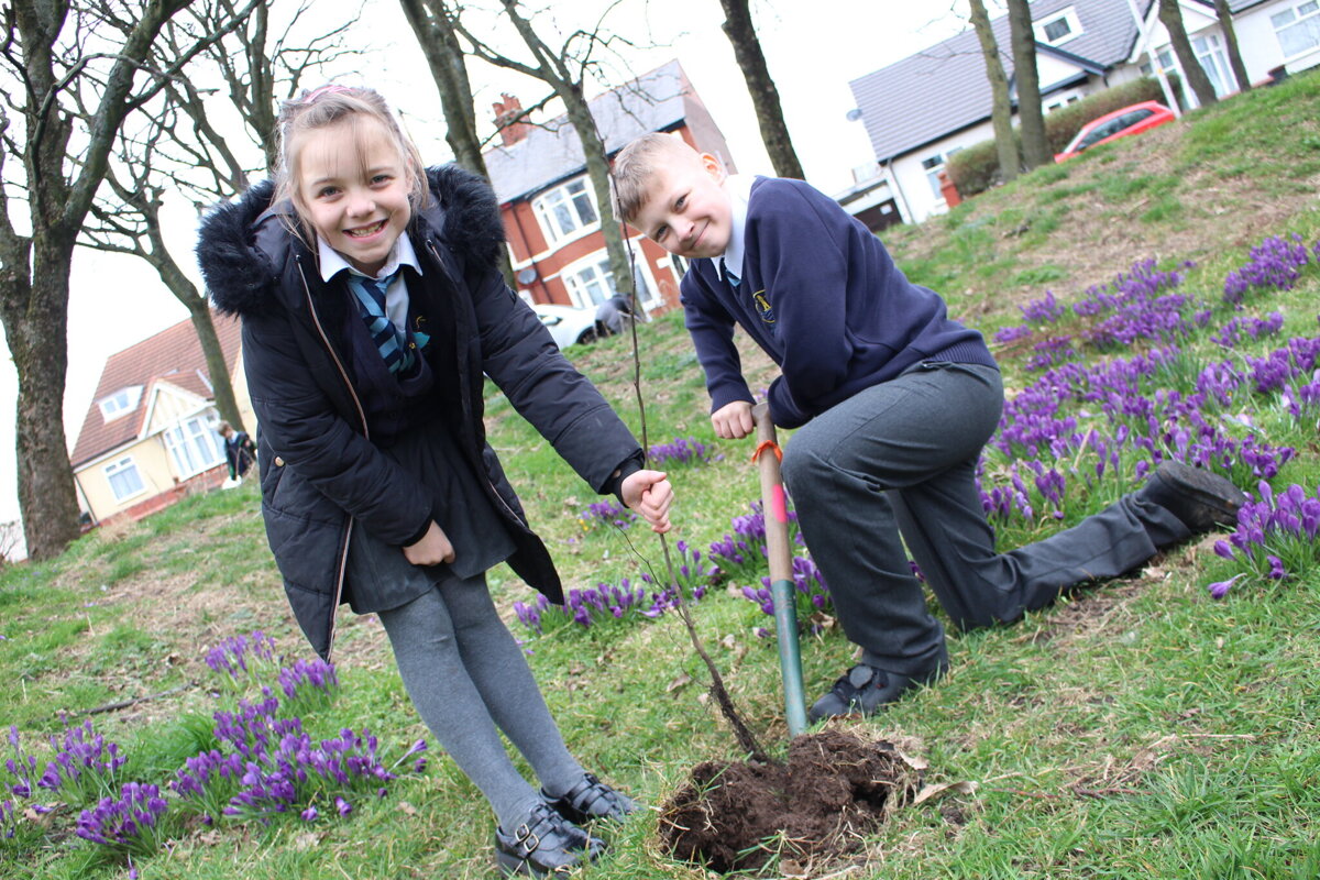 Image of Eco-friendly primary pupils plant trees for change